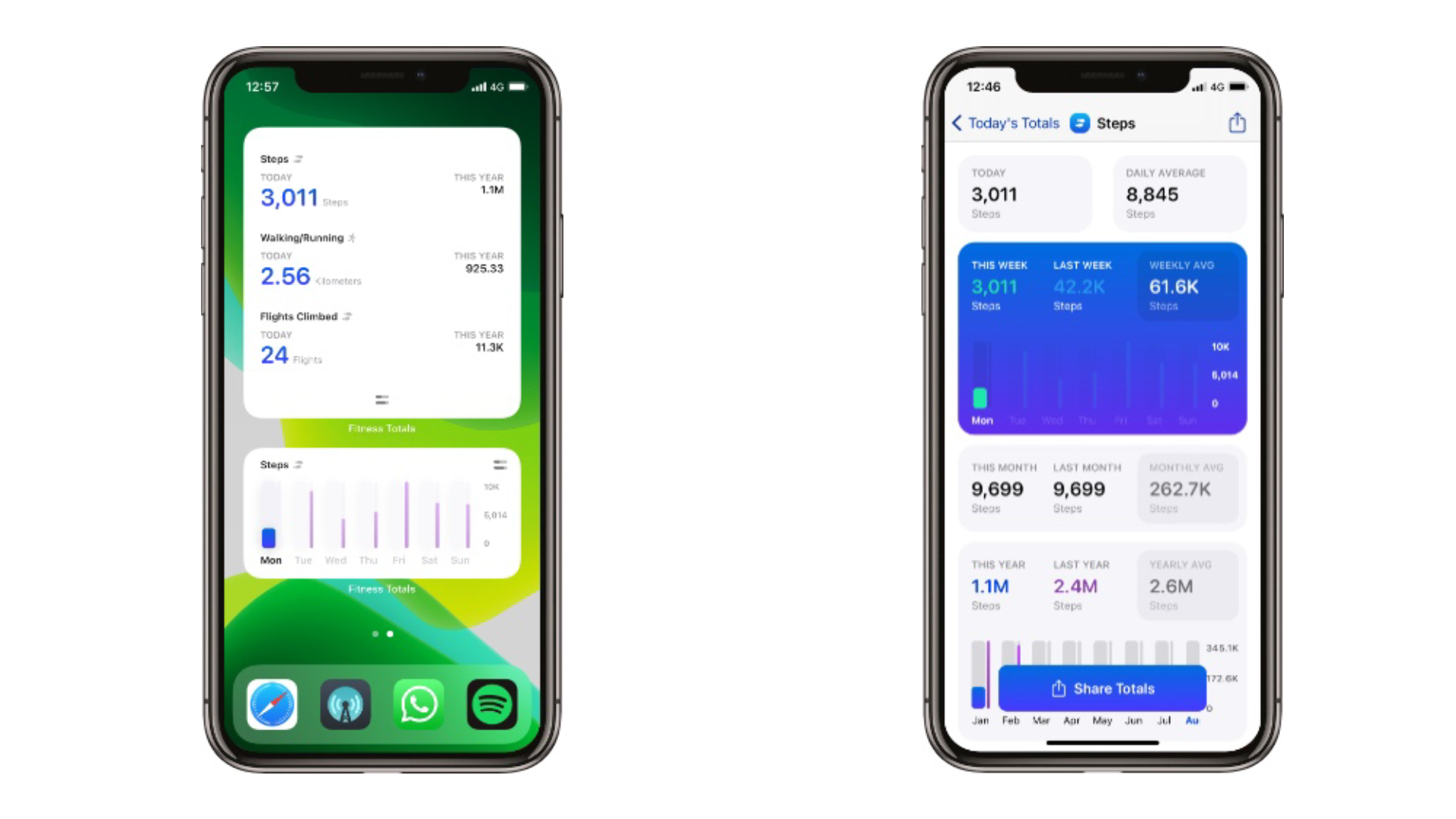 New widgets in Fitness Totals 1.1 on an iPhone X
