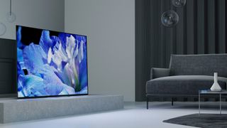 A Sony OLED TV in a grey living room with a bright blue close up of a flower displayed on the screen.