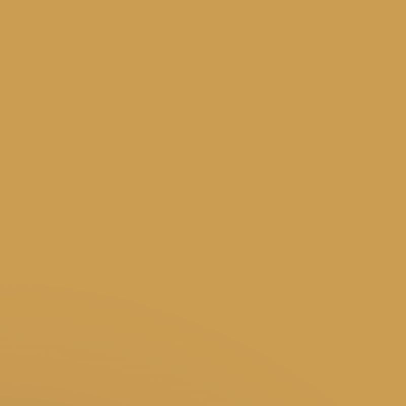 dark yellow paint swatch