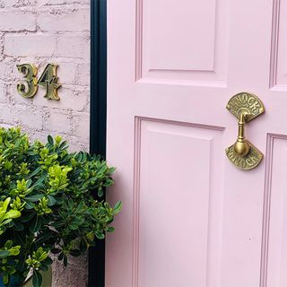 pink front door with brass handles and potted plant