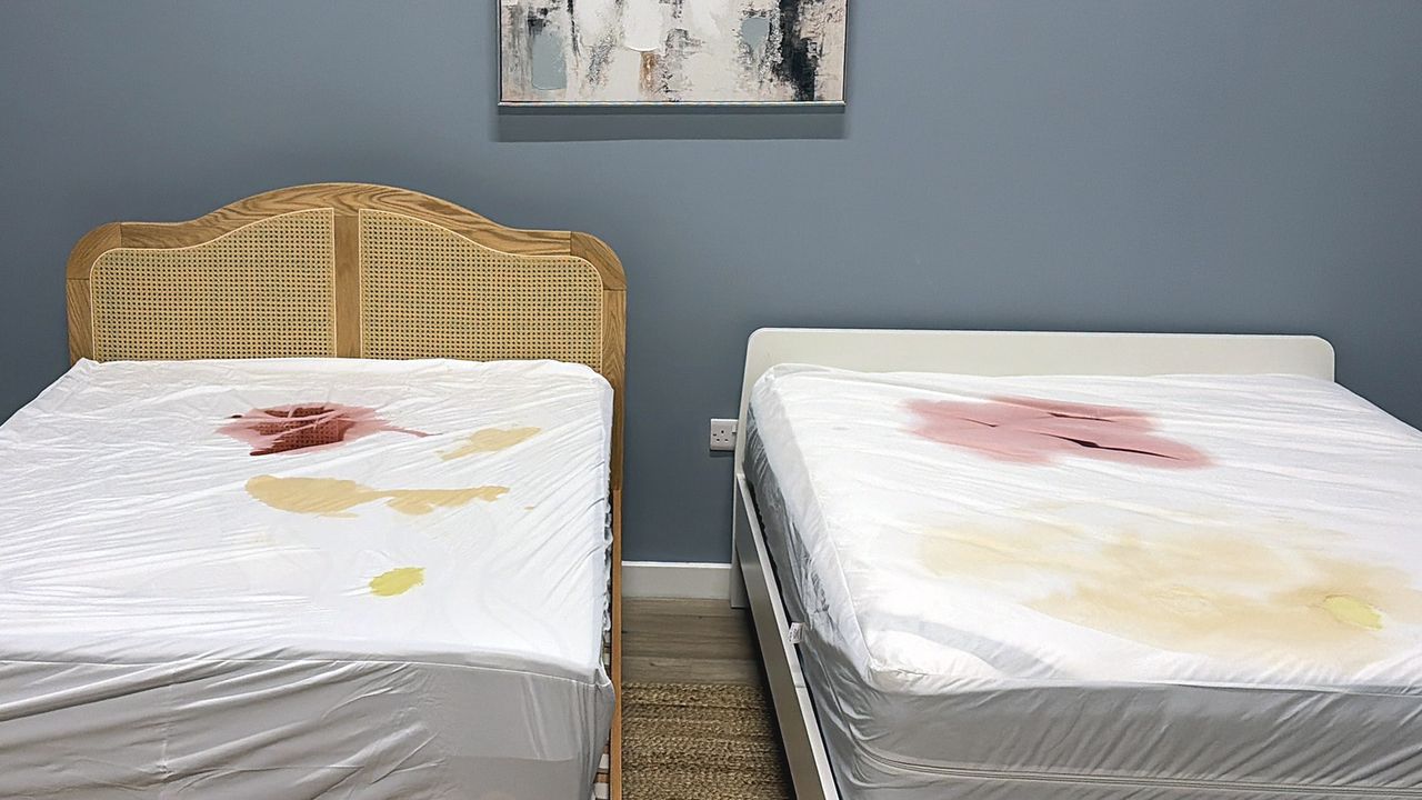 On the left, the Purple Mattress protector on a mattress. On the right, the Linenspa mattress encasement on a mattress. Both mattress protectors are covered in stains