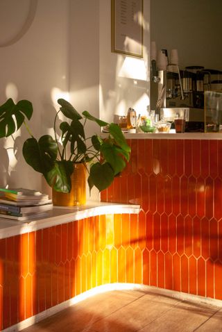 orange tiled walls with plant pot on shelf