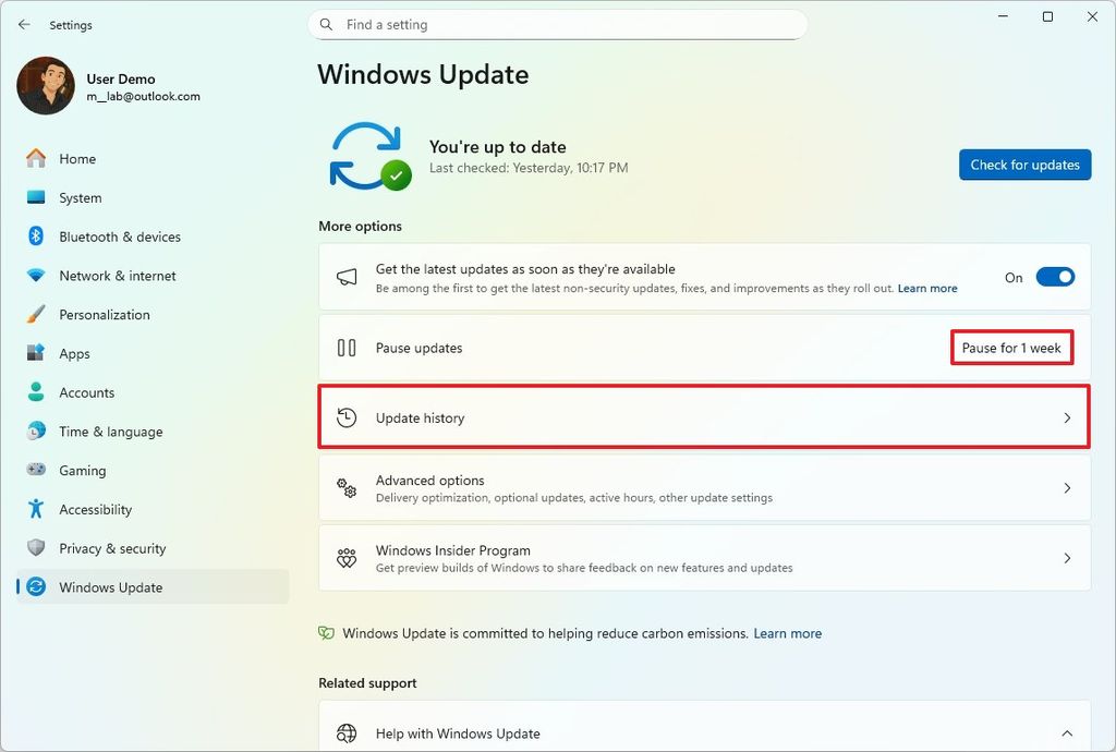 Windows 11 update history