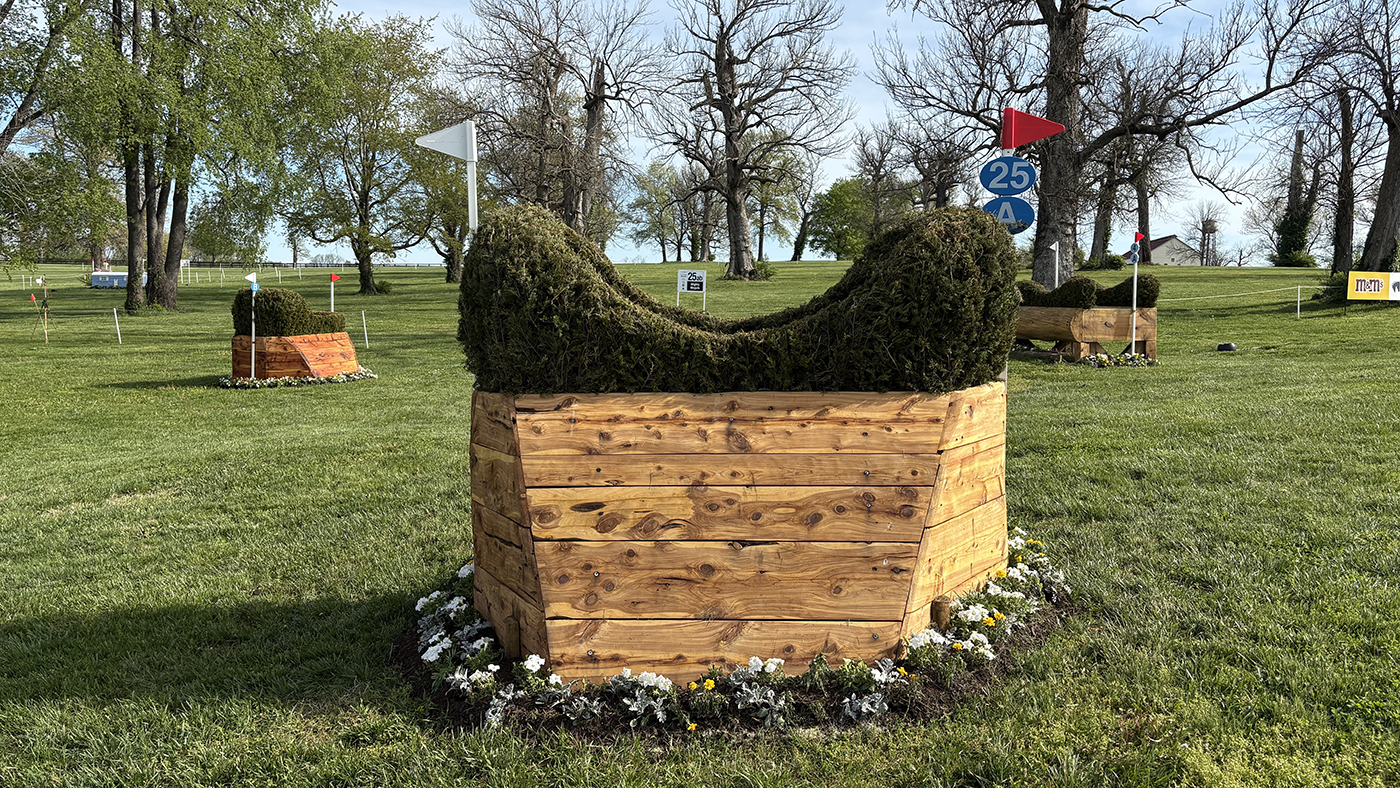 Fence25a