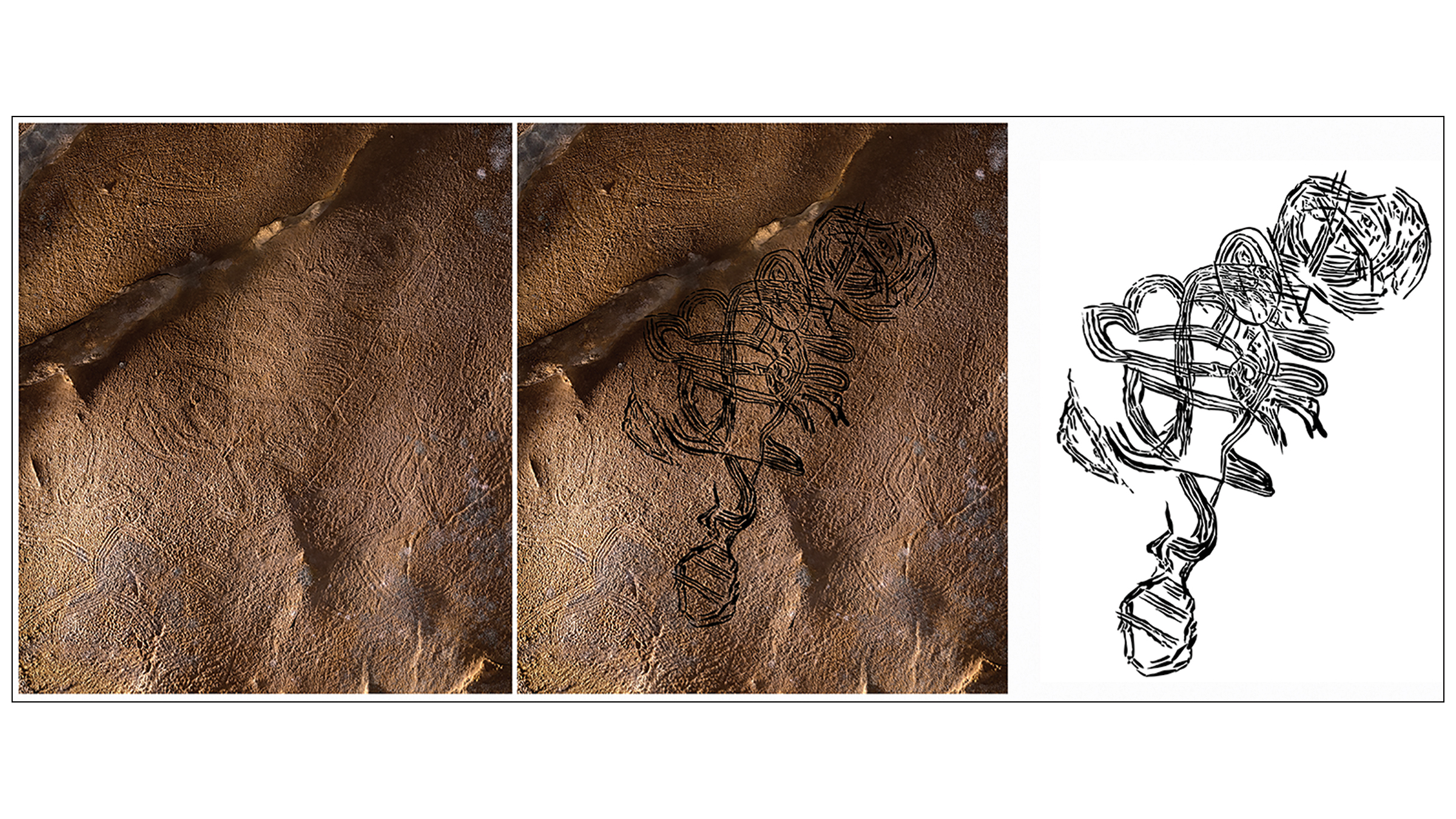 An enigmatic figure of swirling lines and a possible rattlesnake tail at Unnamed Cave 19 in Alabama.