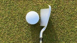 Photo of the Wilson Dynapower Forged Iron at address