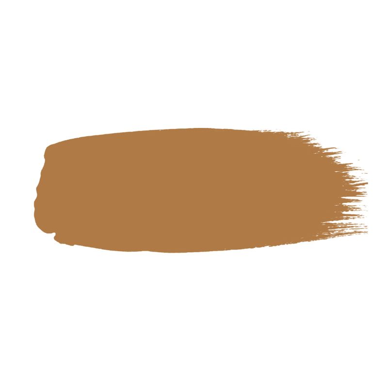 dark orange paint swatch