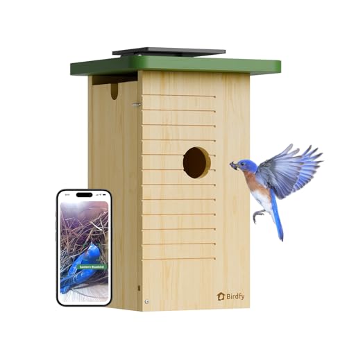 Birdfy Smart Bird House With Camera Solar Powered, 1080hd Live Video &amp;amp; Night Vision for 24/7 Nesting Recording, Auto Detect &amp;amp; Notify, Ideal Nature Gift for Bird Lovers, Ai Identify Lifetime Free