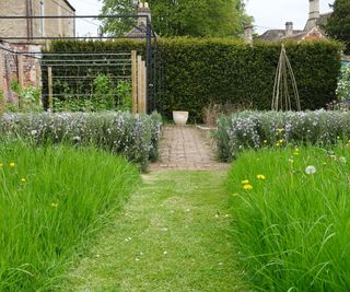 A path mowed throw a lawn in a wild garden with dandelions and daisies