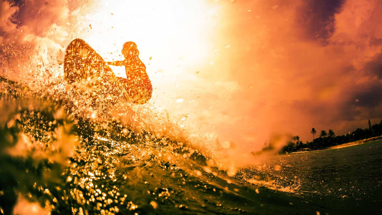 surfboarder riding a wave