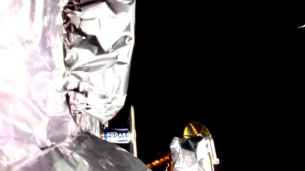 Il lander lunare Doomed Peregrine scatta un altro selfie nello spazio