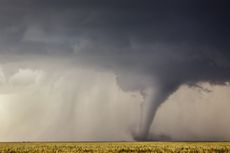 A tornado cuts its way through a field in Minneola, Kansas, on May 24, 2016, in this image captured by expert storm chaser and photographer Jason Weingart.