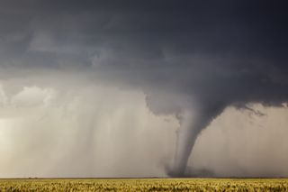 A tornado cuts its way through a field in Minneola, Kansas, on May 24, 2016, in this image captured by expert storm chaser and photographer Jason Weingart.
