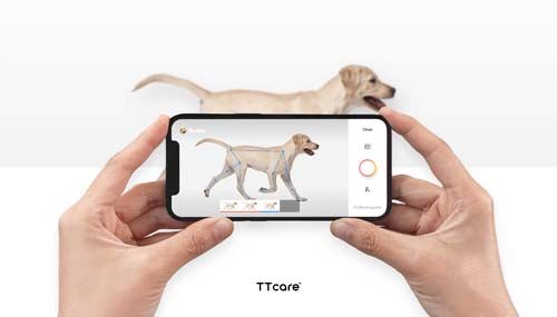 TTCare pet diagnosis app