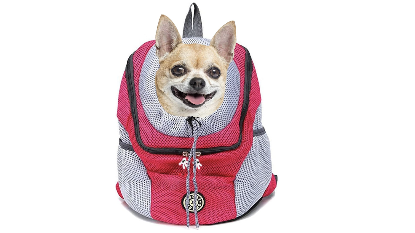 ESPFHN dog carrier