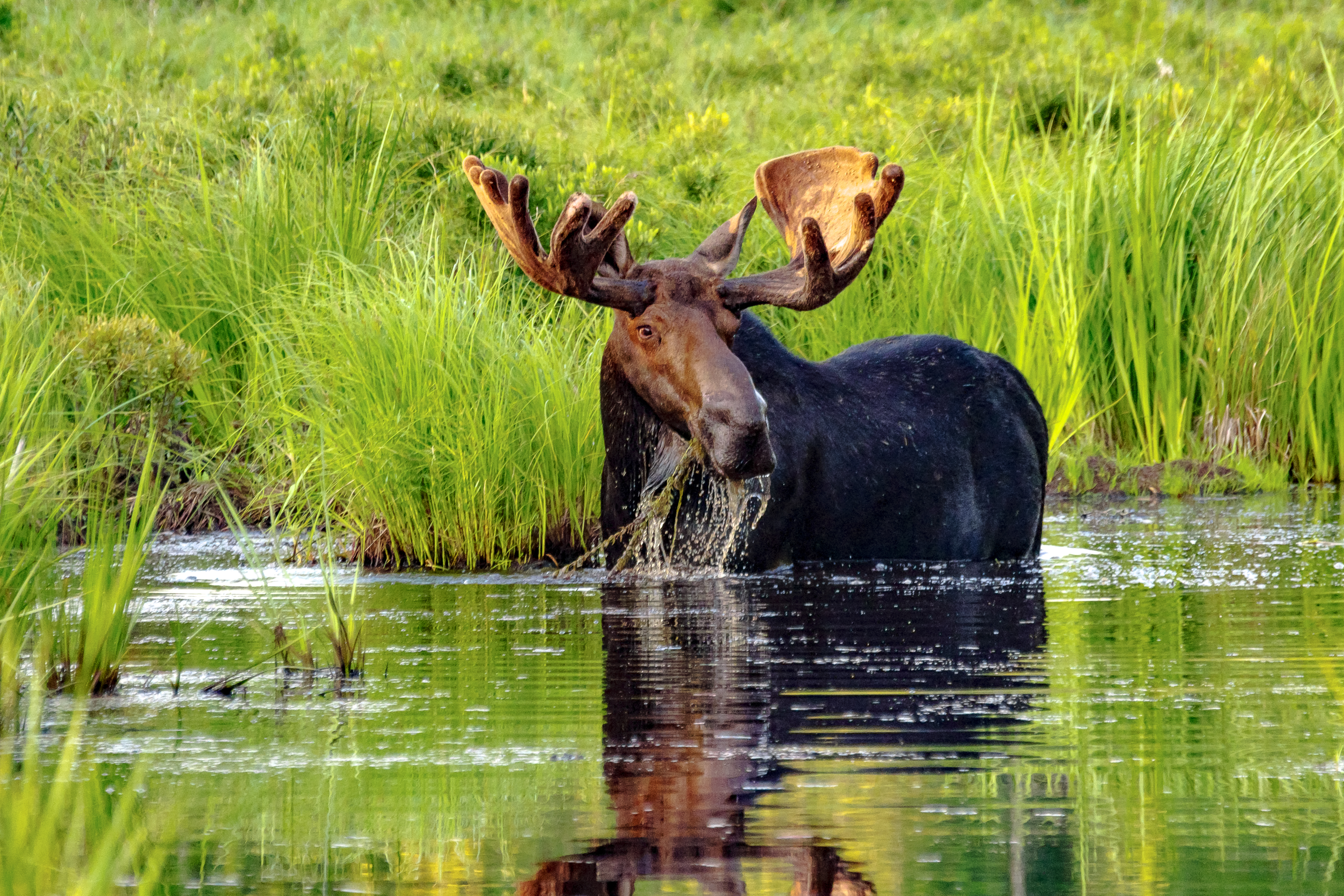 GuruShots - Nature March 2026