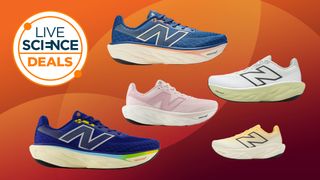 A Live Science Deals logo and five different New Balance Fresh Foam X 1080 V14 running shoes on an orange background