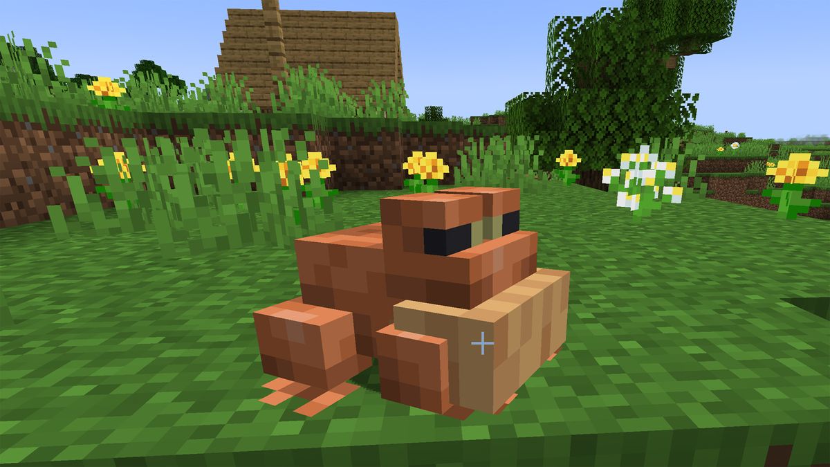 Minecraft frogs temperate