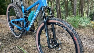 Mountain bike with DT Swiss fork in woodland