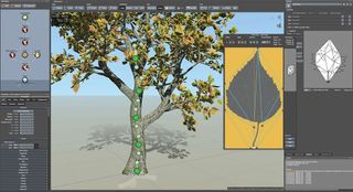 SpeedTree Cinema 8 screenshot shows a tree and leaf being designed