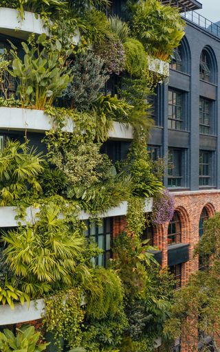 vertical gardens and tropical modernism in Medellin
