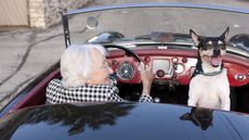 A smiling older woman drives a classic convertible with a happy dog in the passenger seat.