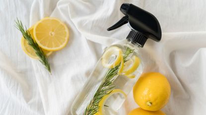 A glass spray bottle with a black top on a white sheet. Lemon peels and thyme in the bottle, whole lemons around the bottle
