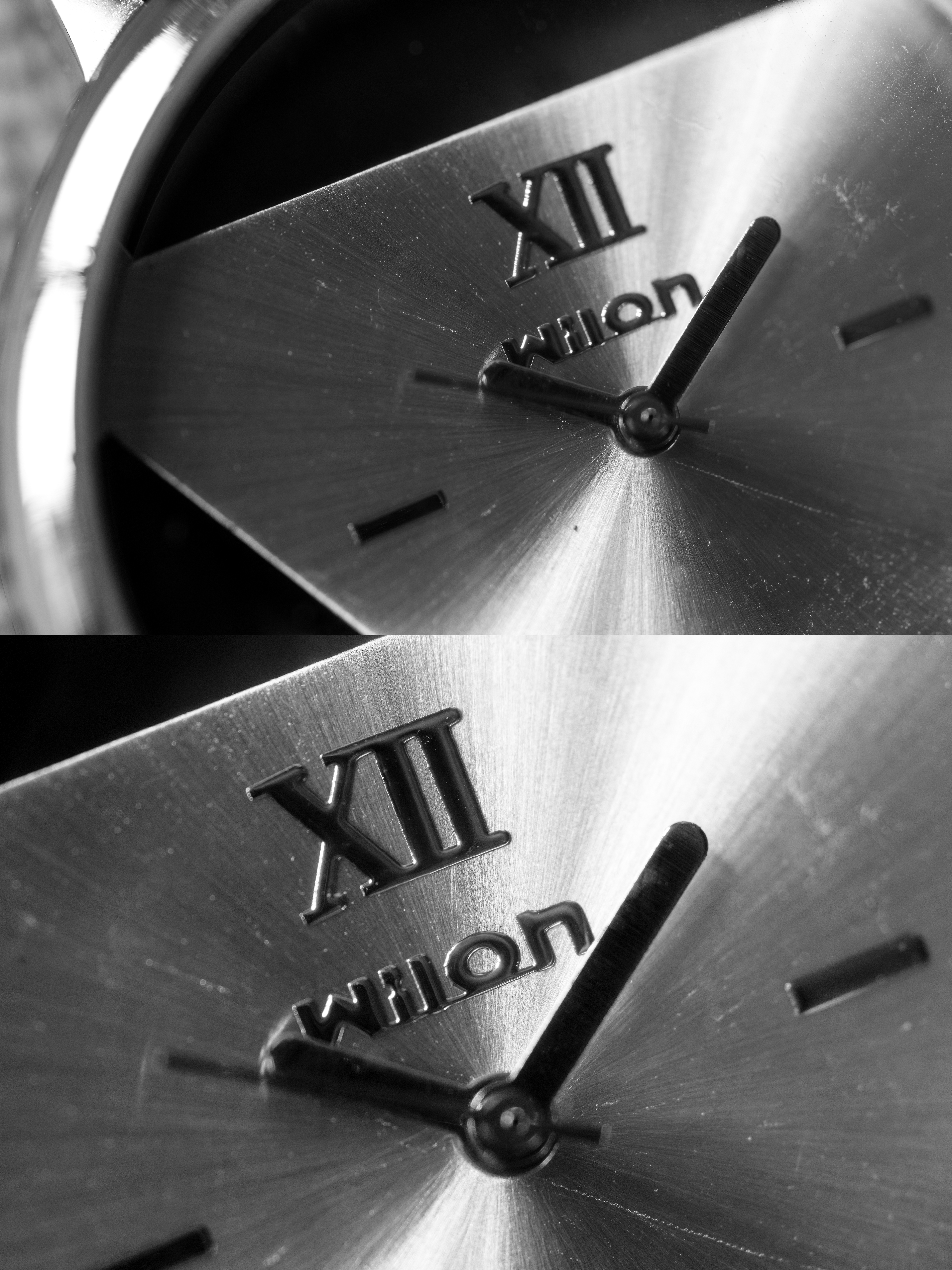 Sample image taken with the Sony FE 100mm f/2.8 Macro GM OSS lens using a Sony A7R V