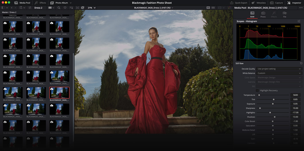 A screenshot from DaVinci Resolve 21's still photo tools