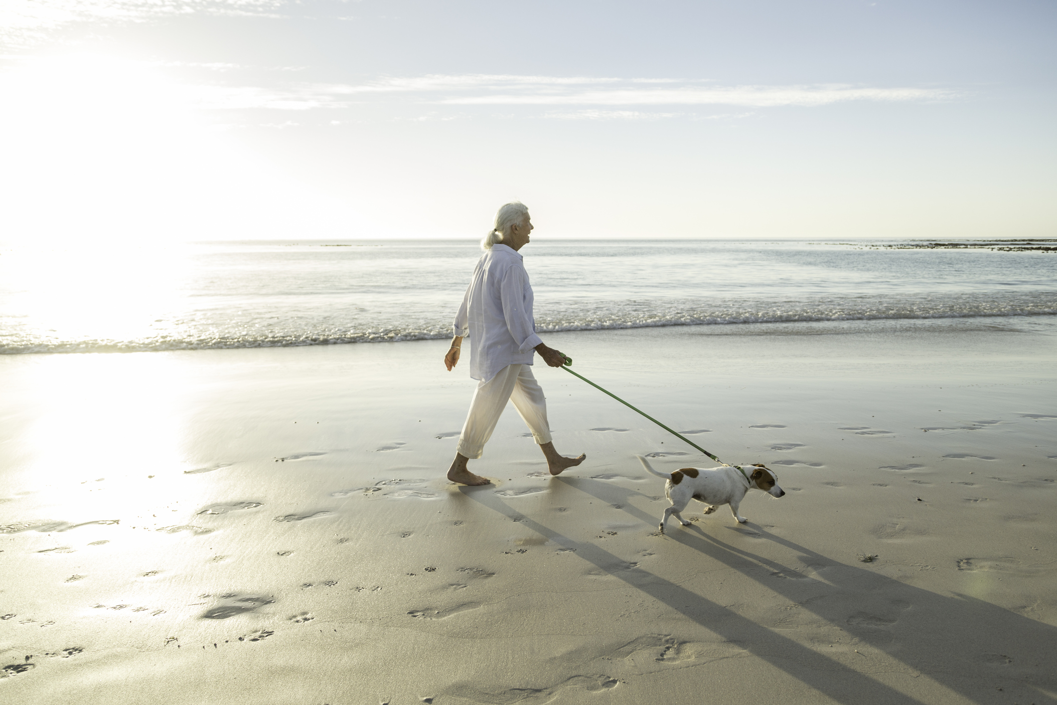 Senior woman walking her dog on a beach at sunrise