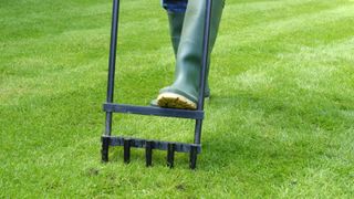 lawn aeration being done with a special tool for it