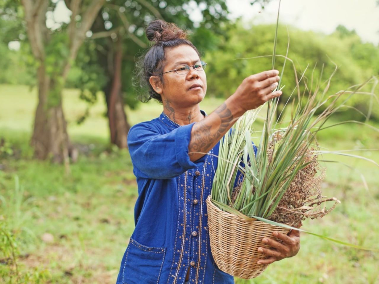 Person Harvesting Lemongrass