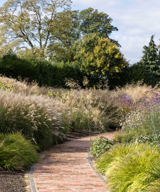 pathway with paving from Artisans of Devizes lined with ornamental grasses