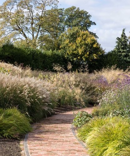 Landscaping with grasses: 10 clever ways to use these plants | Gardeningetc