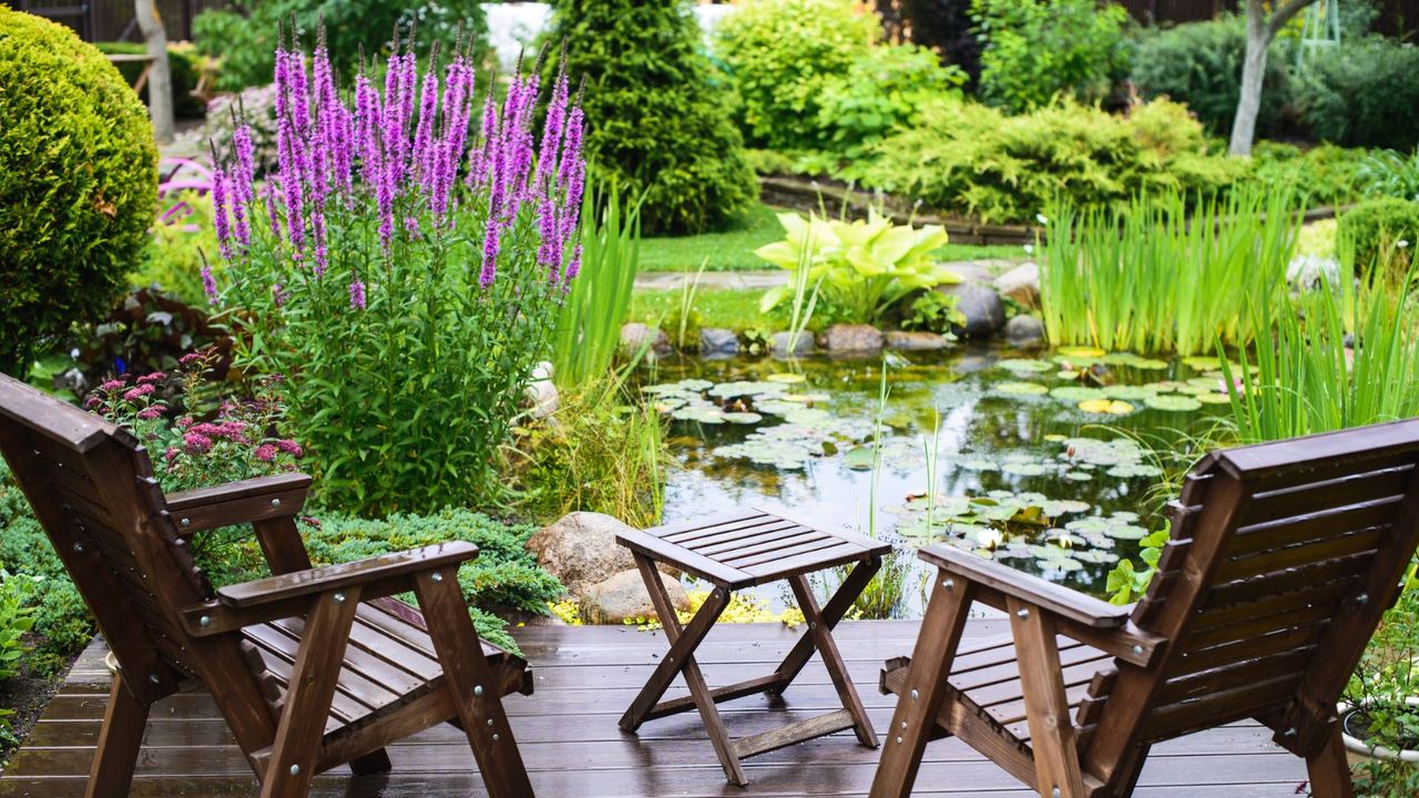 Chairs next to a pond 