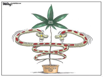 Political cartoon U.S. marijuana politics