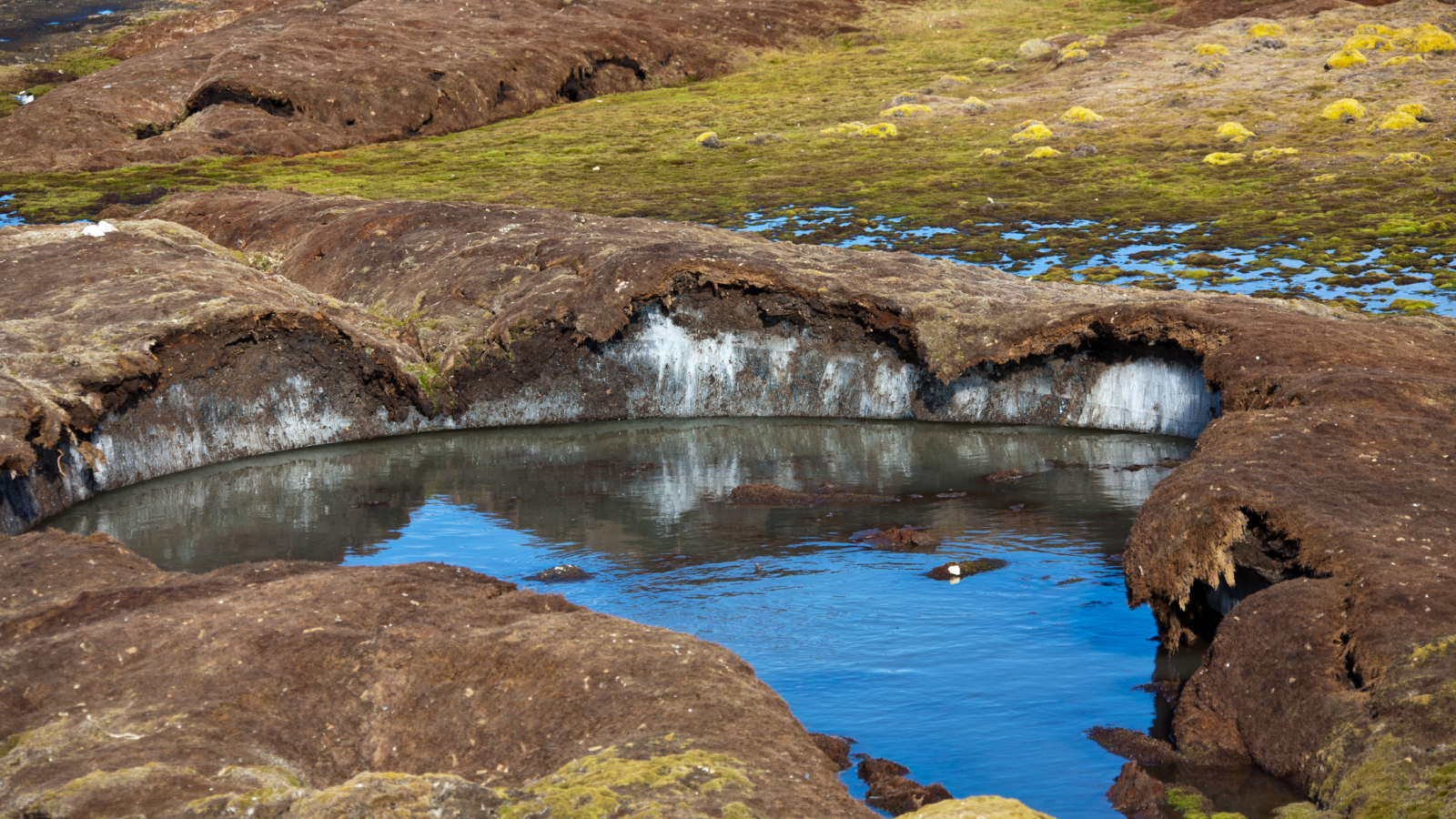 Ice under permafrost soil in Spitzbergen with o pool of water.