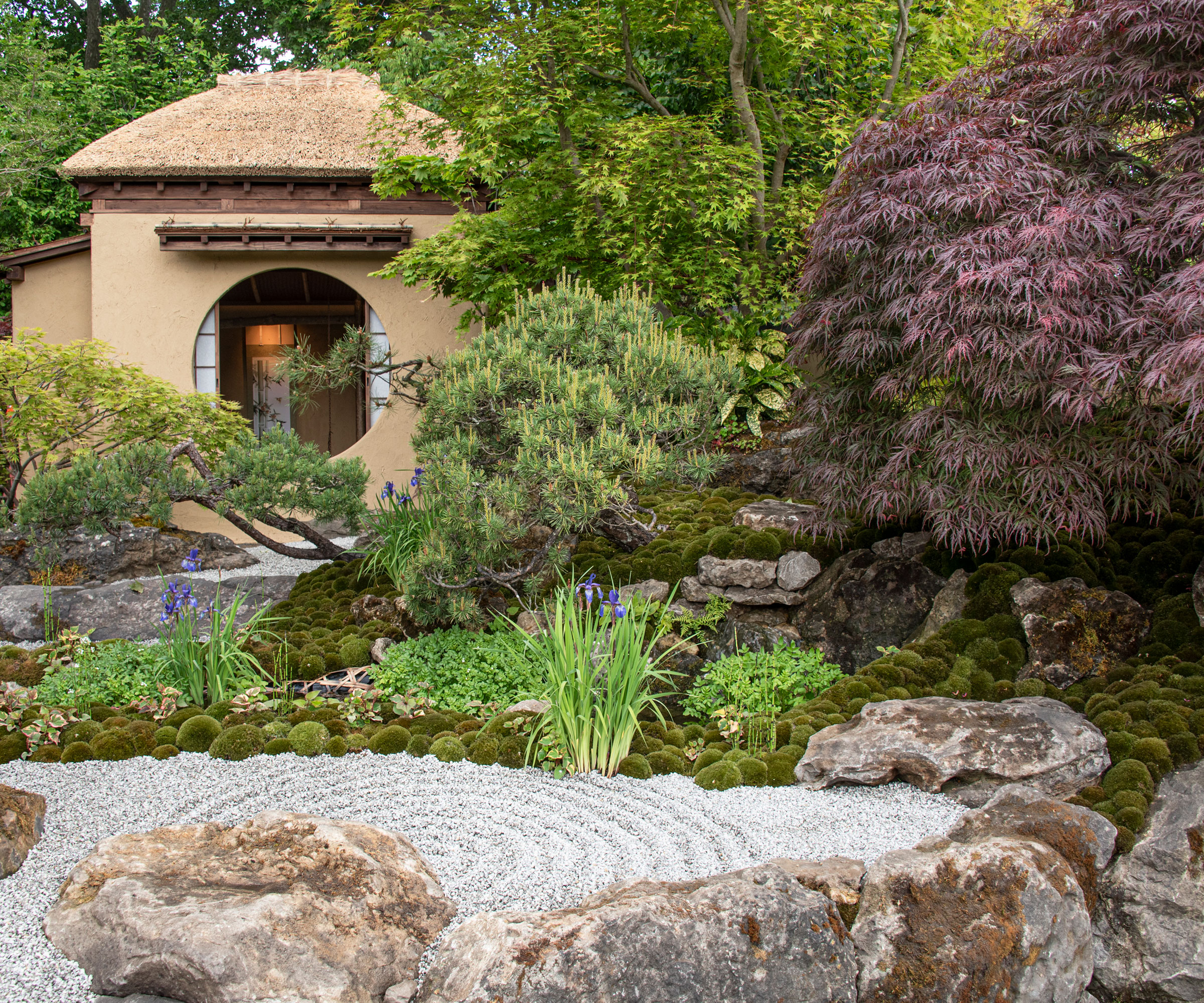Japanese garden with temple, acer trees, gravel and boulders