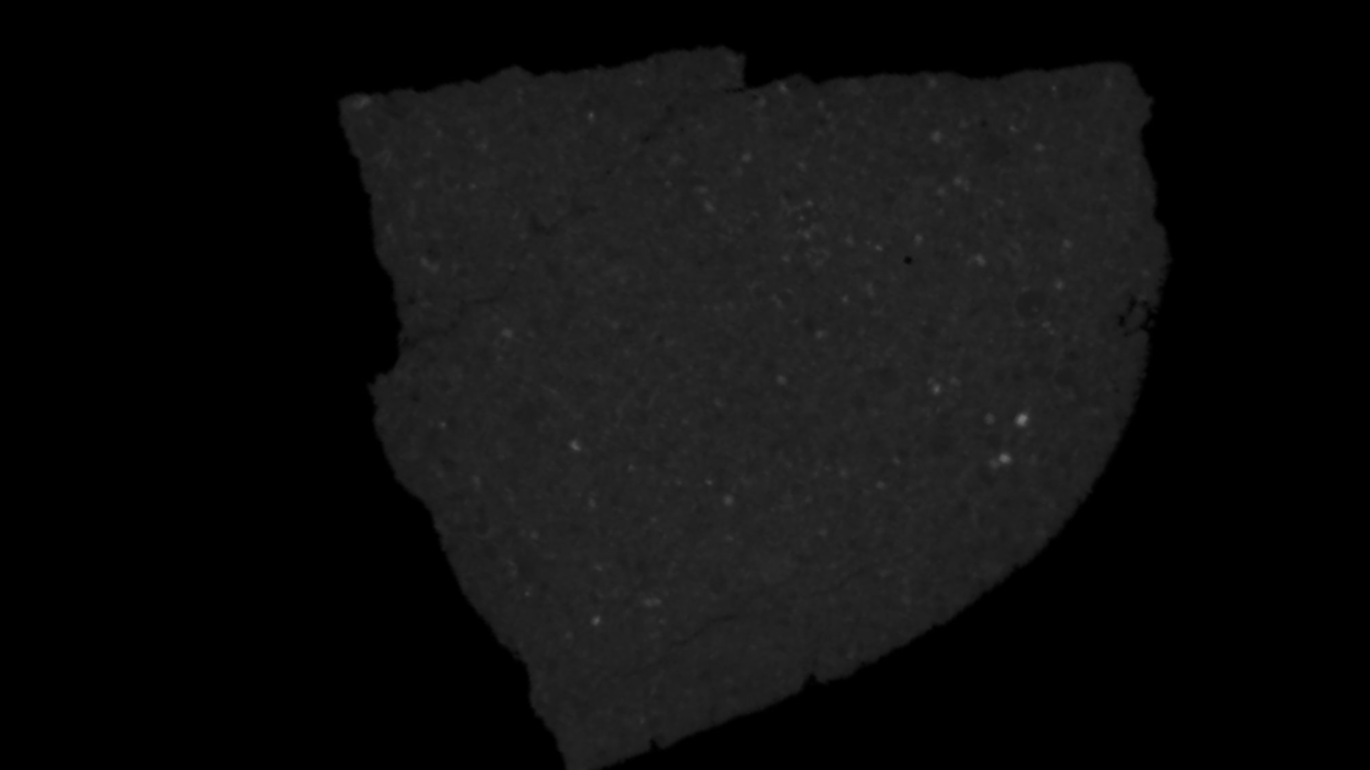 An X-ray image of the Antarctic meteorite DOM 08006 discovered in 2008