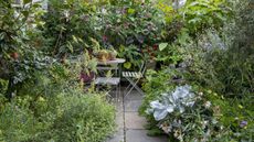 A semi-sheltered courtyard is packed with Mediterranean plants and bold leafy perennials