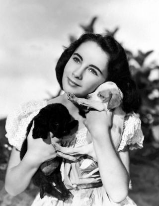 elizabeth taylor national velvet