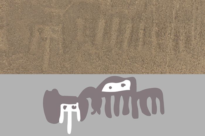 New Nazca geoglyph