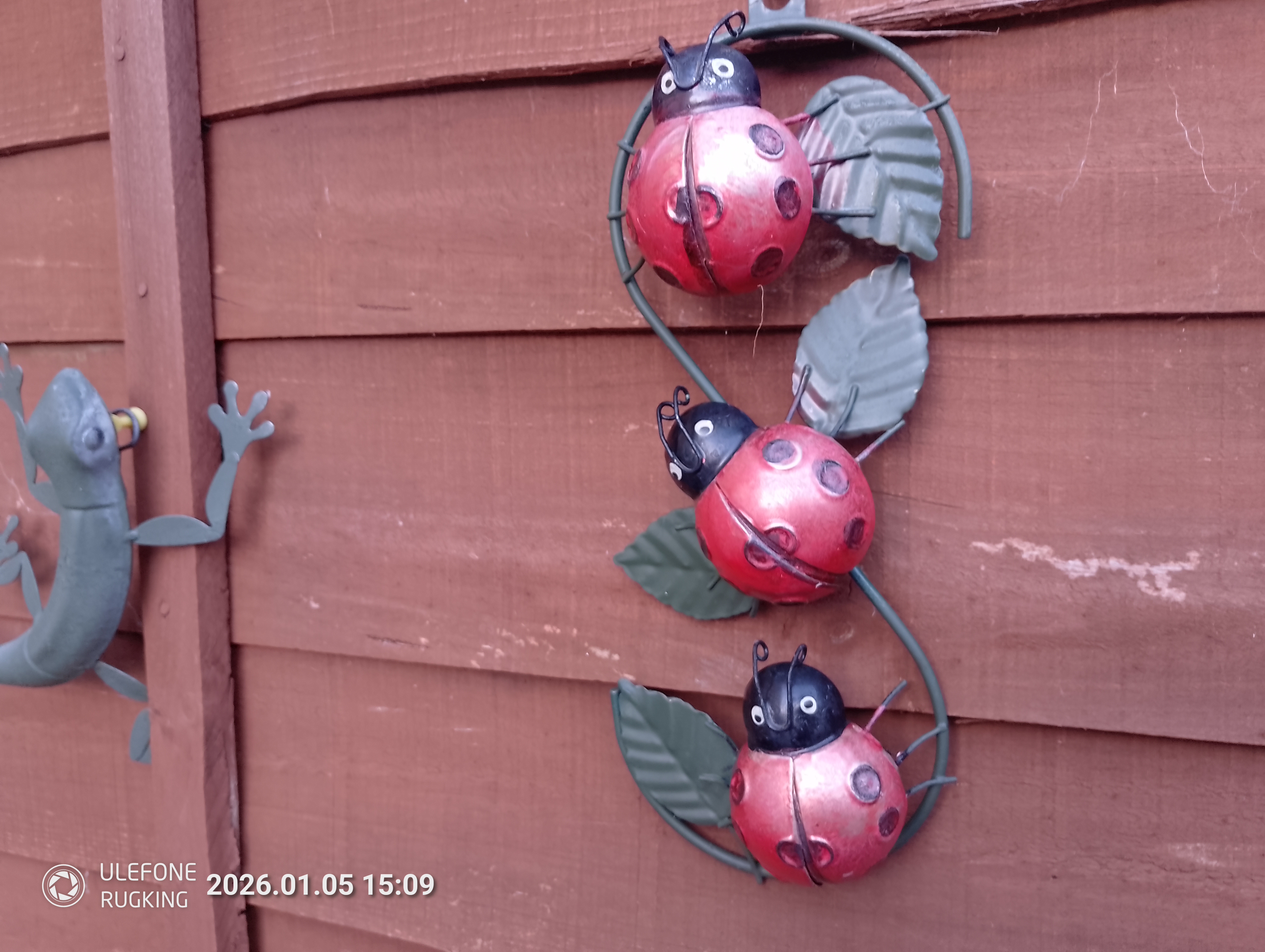 Ulefone Rugking camera examples