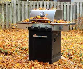 A grill covered in leaves