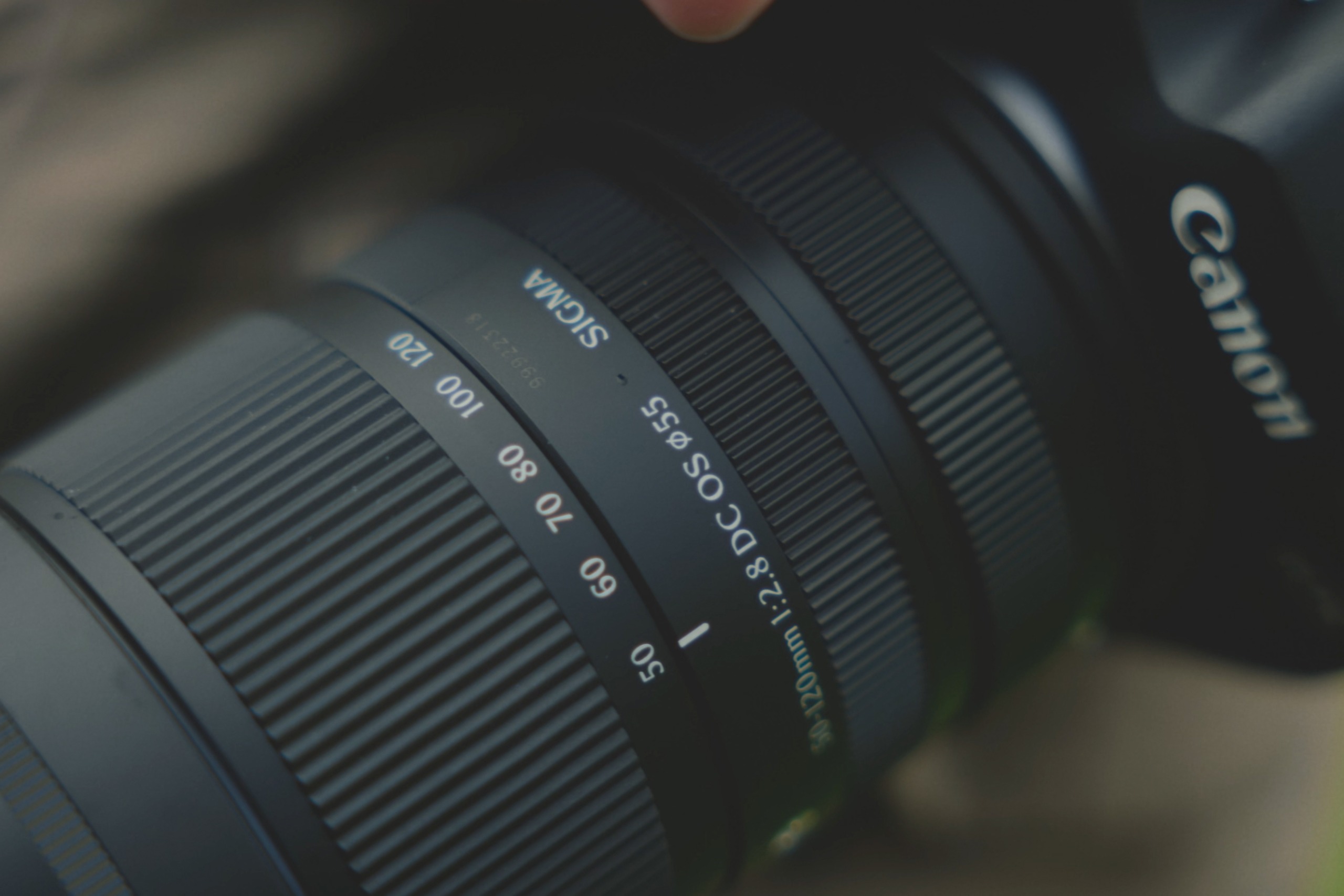 The Sigma 50-120mm f/2.8 DC OS Contemporary in use