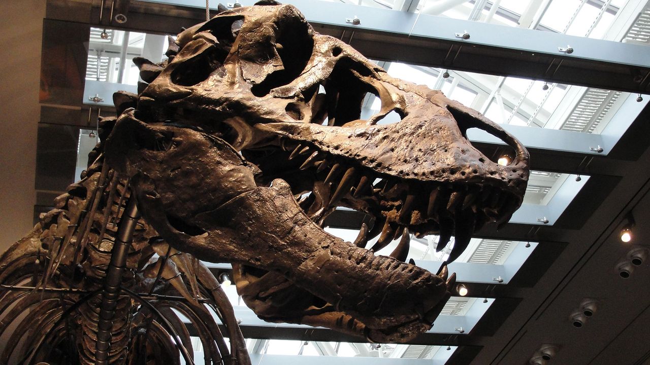 Scientists finally figured out the temperature of T. rex's blood ‪— and it was as hot as ours