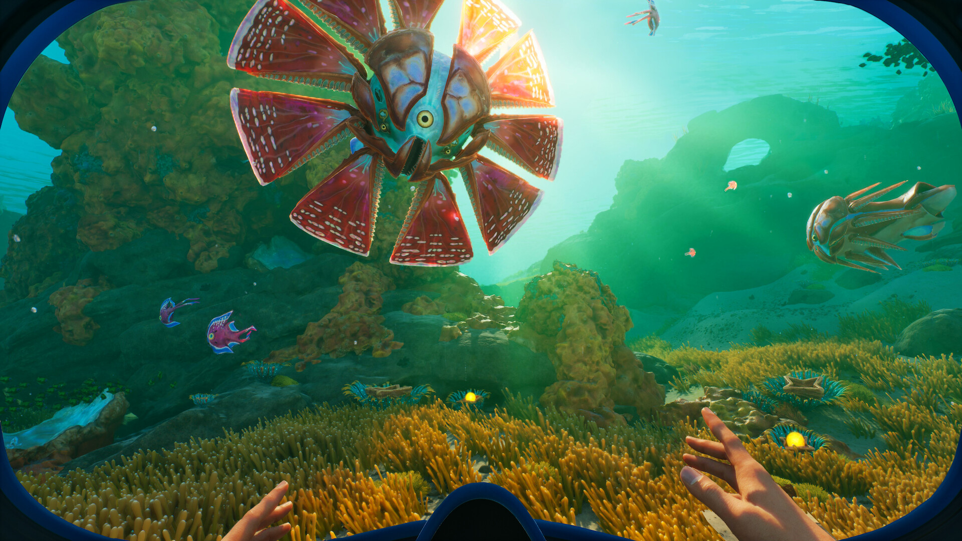 Subnautica 2 screenshot showing a strange fish-like creature with several fins fanning out not unlike a flower in an alien underwater world