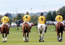 polo14.jpg