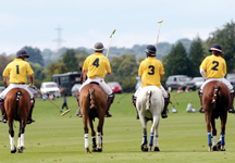 polo14.jpg