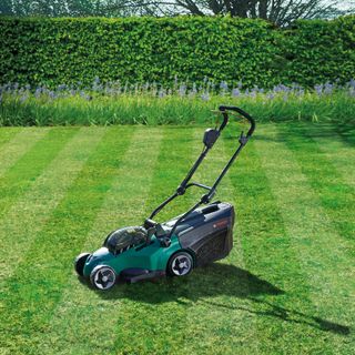 garden area with electric lawnmower and grass